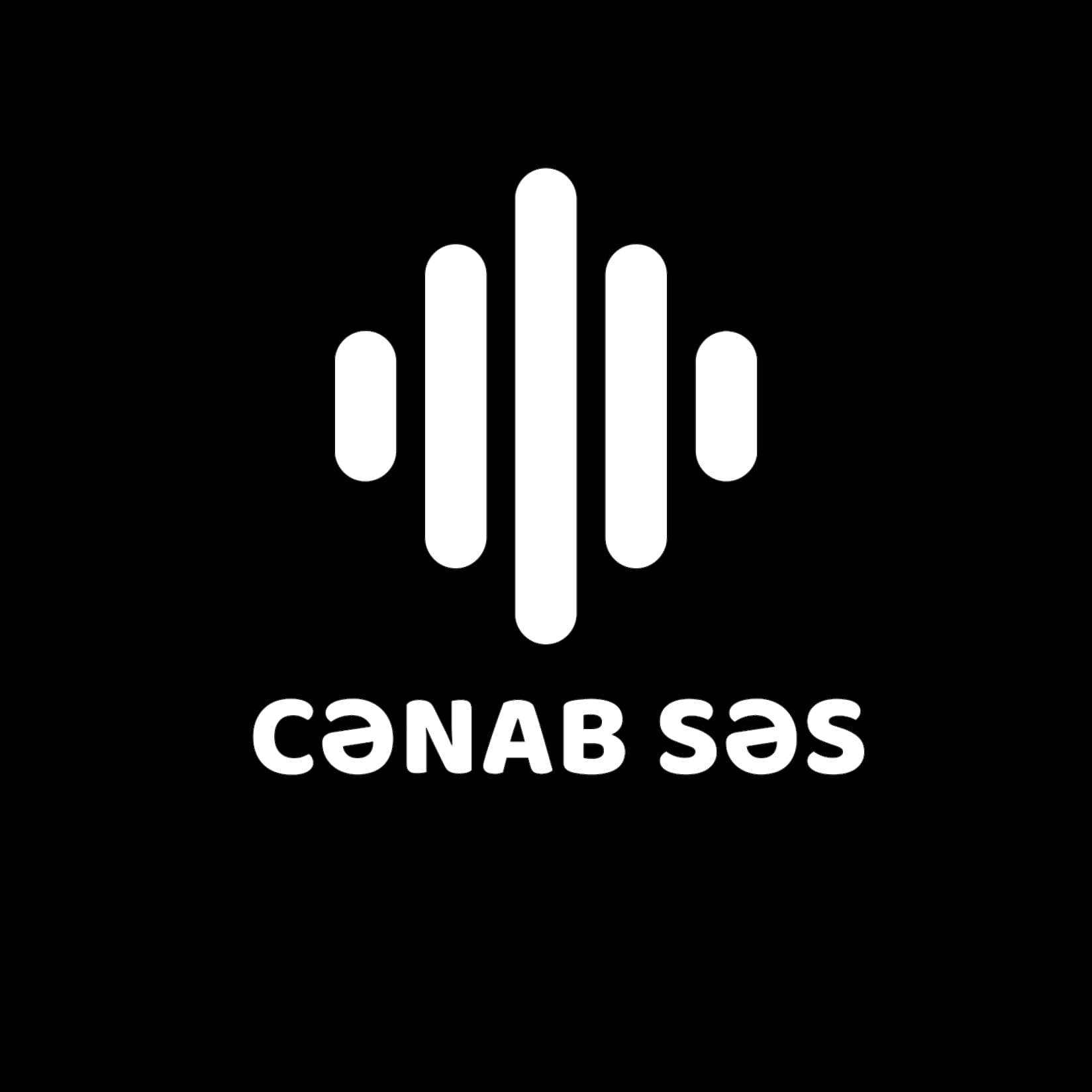 Cənab Səs