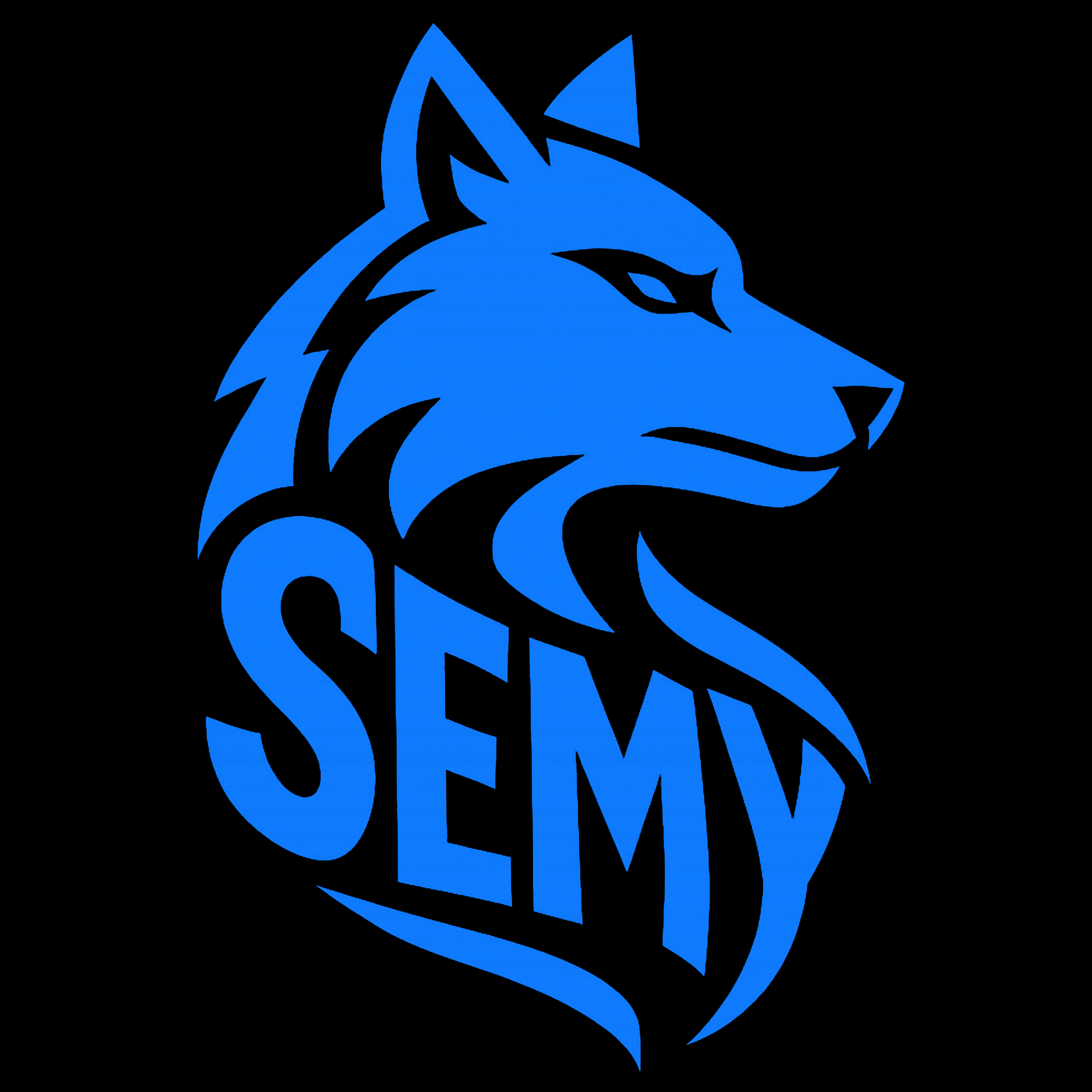 Səməd Həbibov