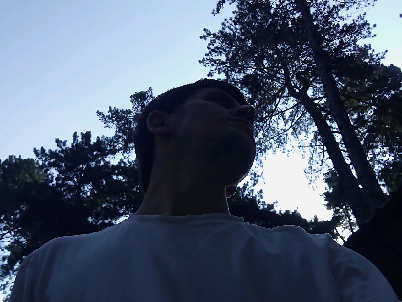 Əsgərov Elmir