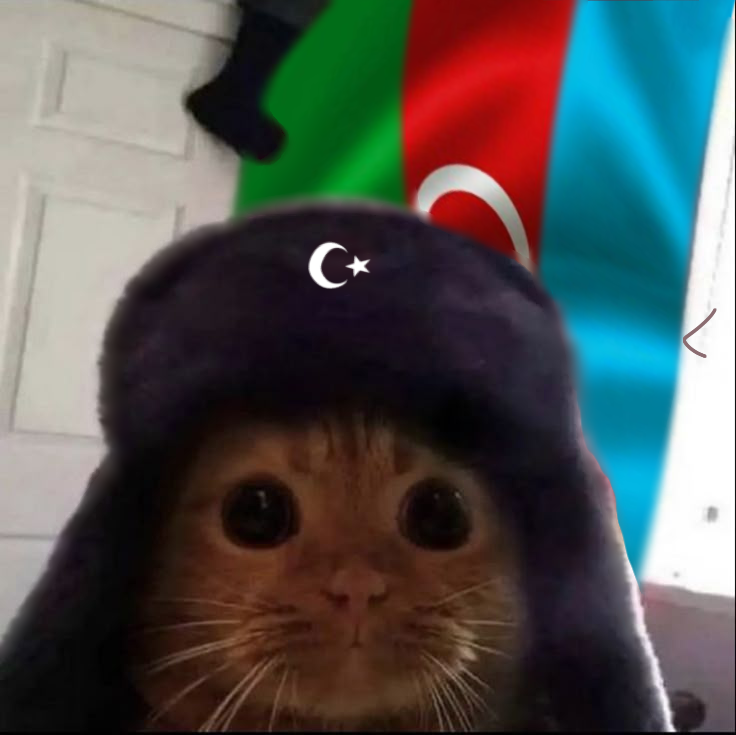 Aylin Gözəlzadə