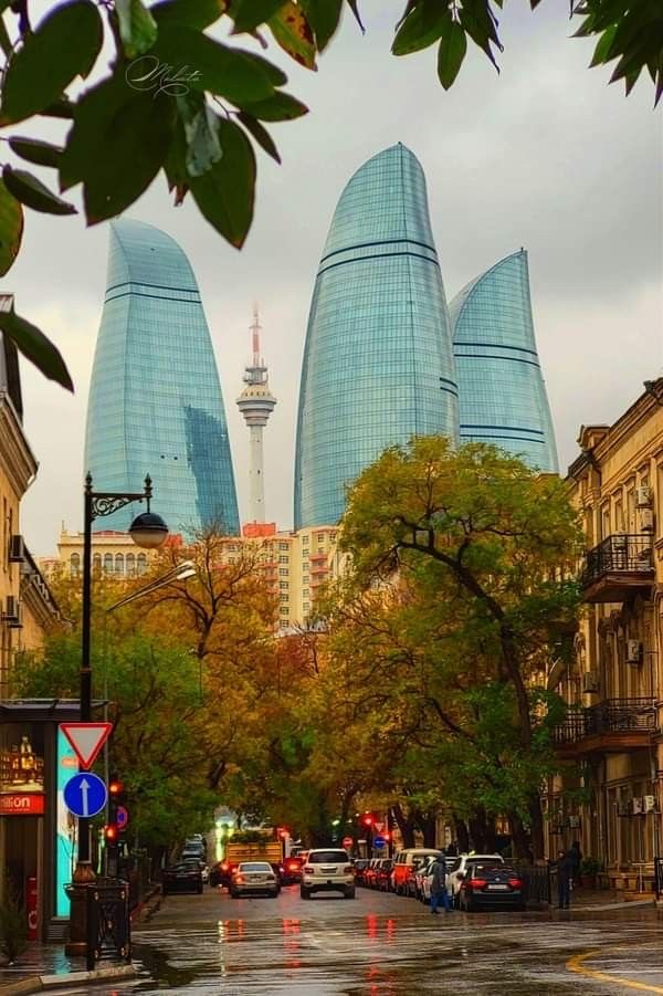 Tərlan Hacıyev