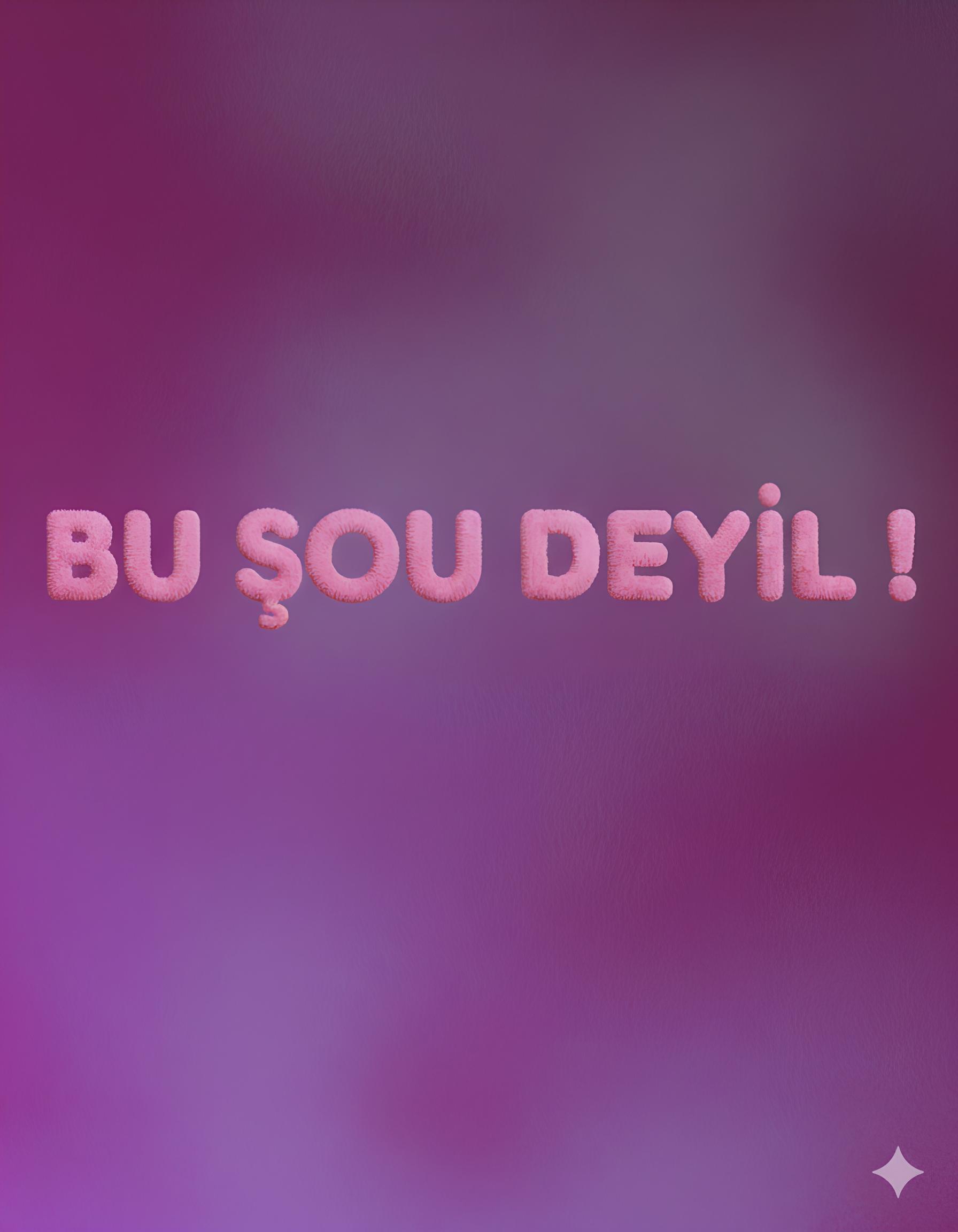 bu-sou-deyil