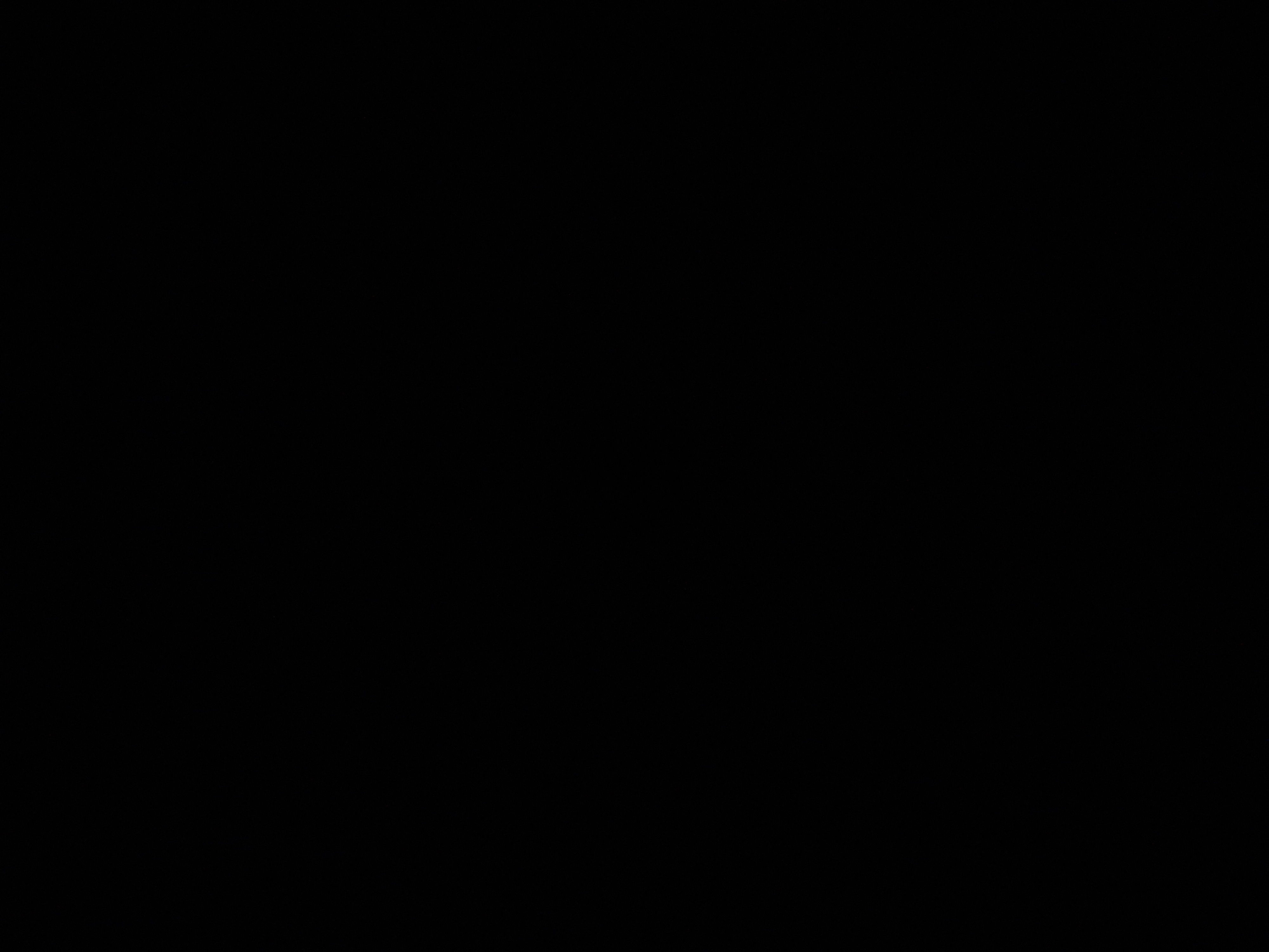 nikoo777