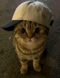pr0pheit