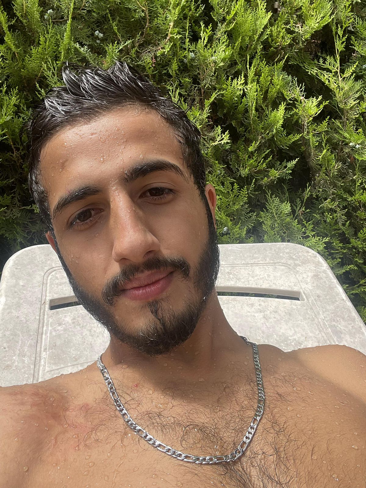 sadekuryer