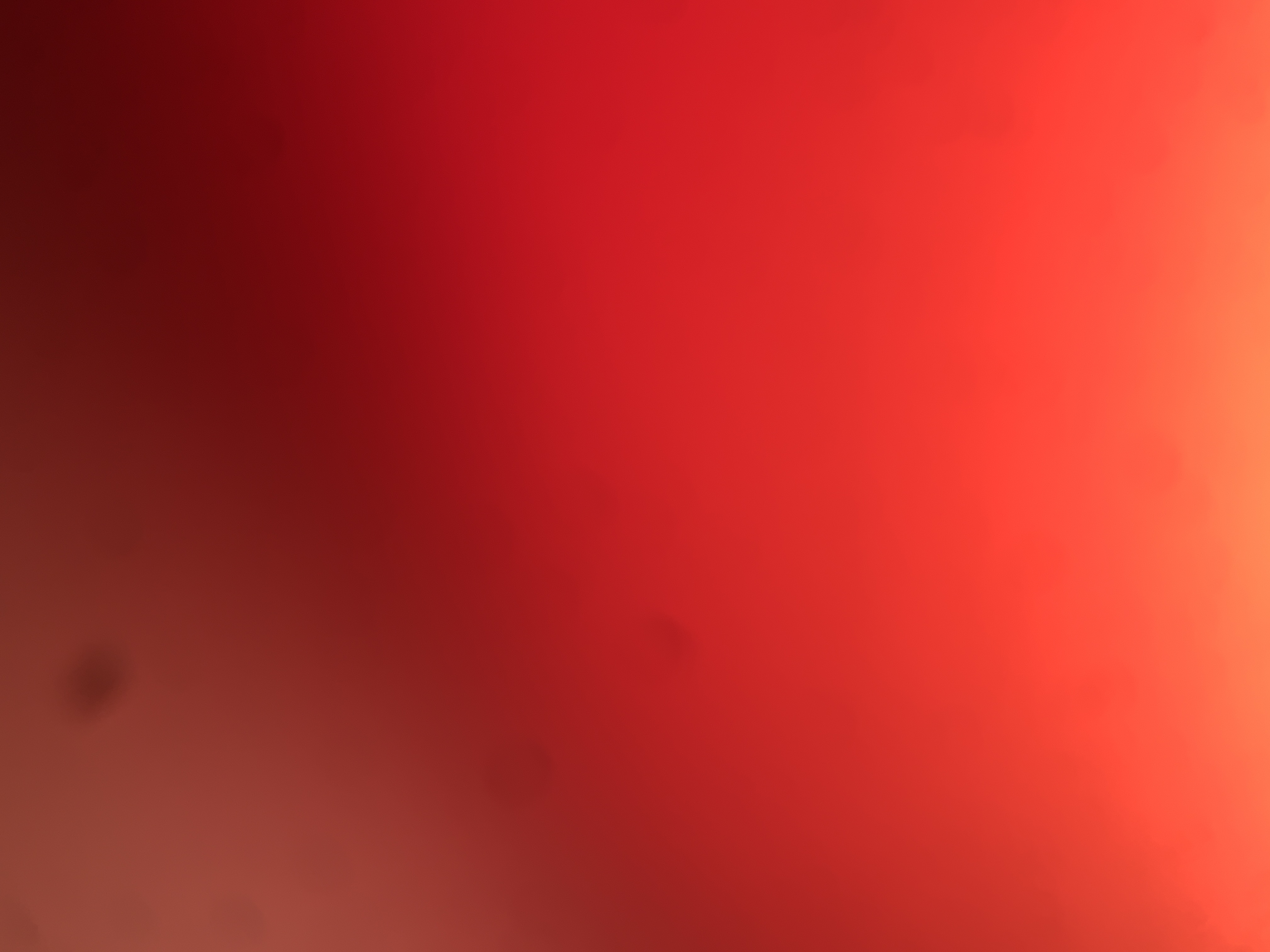 nezrin24