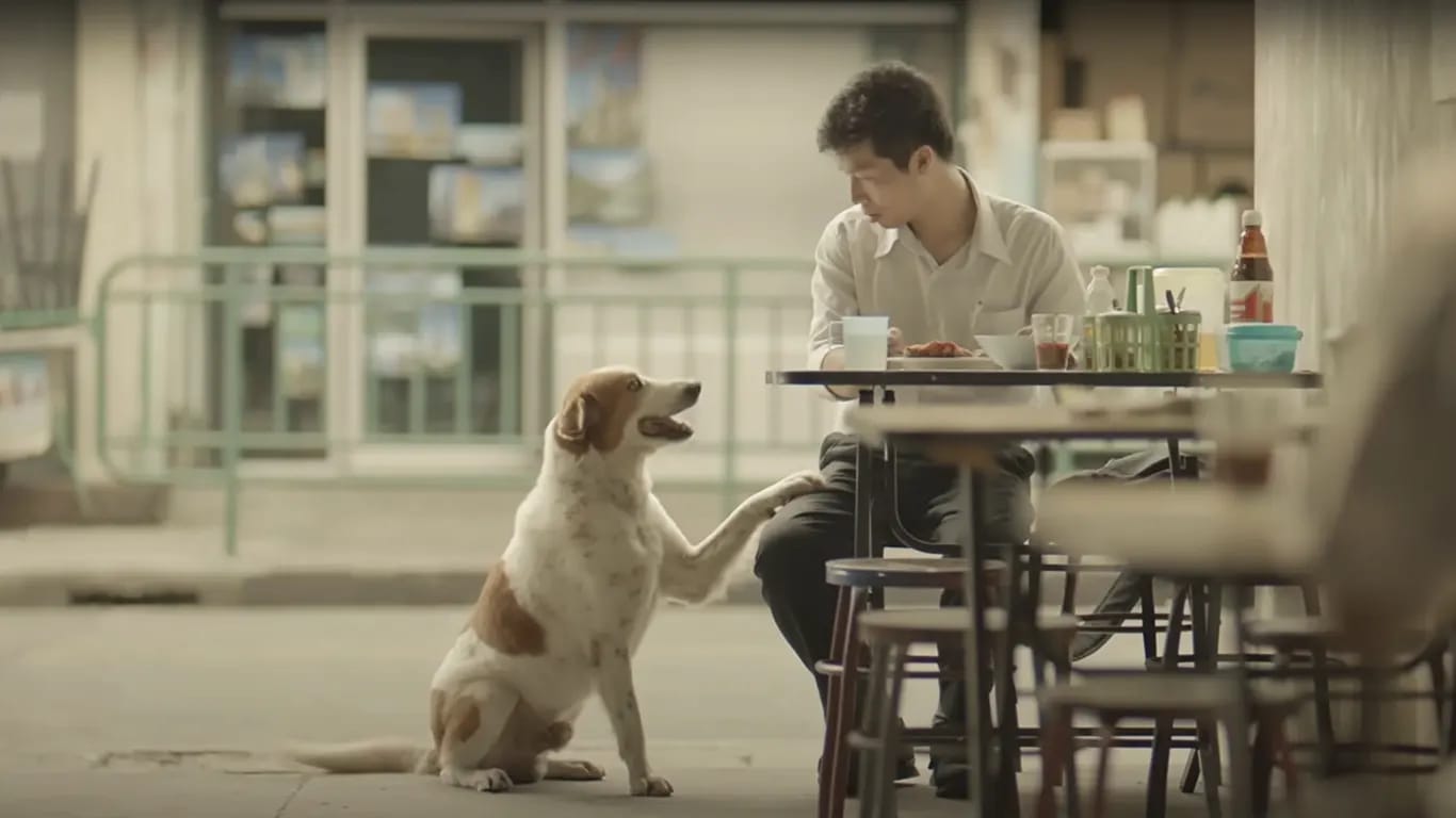 Bəzən ən güclü reklamlar məhsuldan deyil, insanlıqdan danışır.