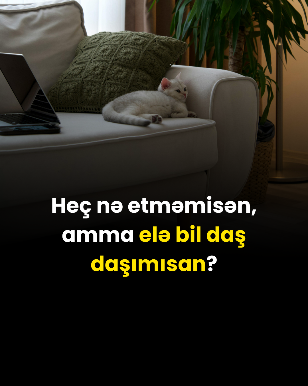 Heç nə etməmisən, amma elə bil daş daşımısan?
