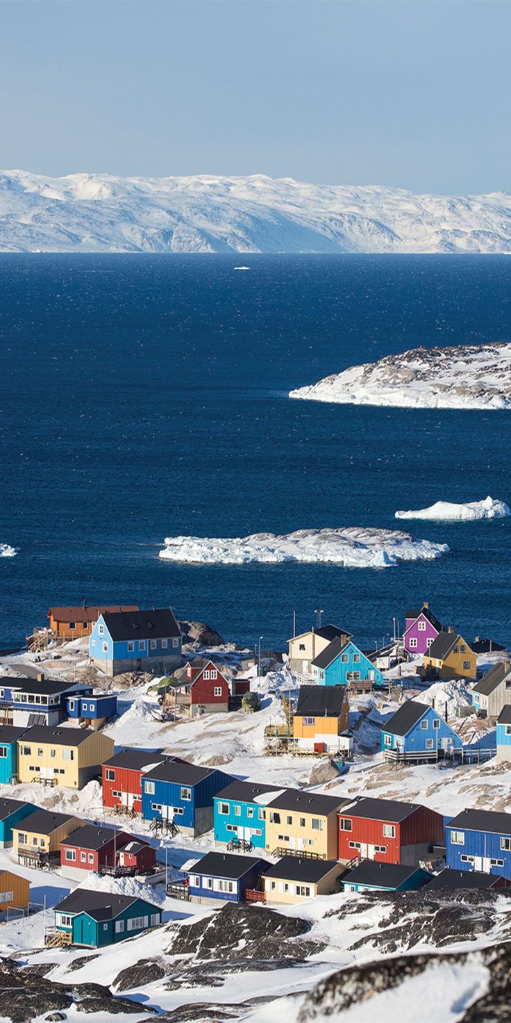 İtlərin sayı insanlardan çox olan İlulissat şəhəri, Qrenlandiya 🇬🇱