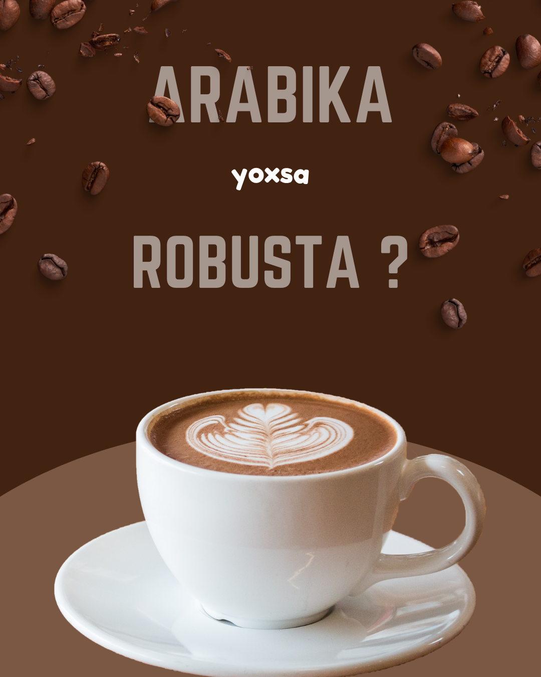 Arabika və robusta: hansı daha yaxşıdır?
