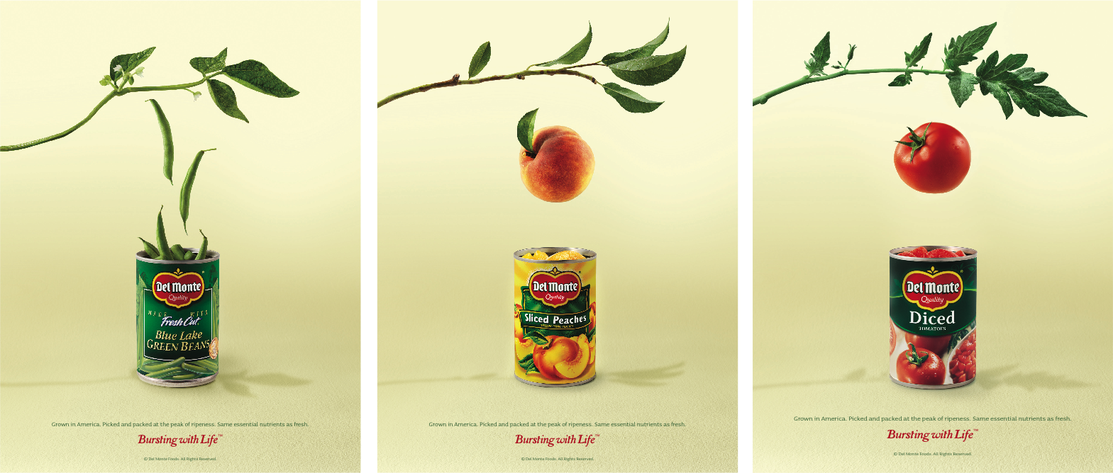 Bir konservdə həyat varmı? Del Monte göstərdi ki, bəli!