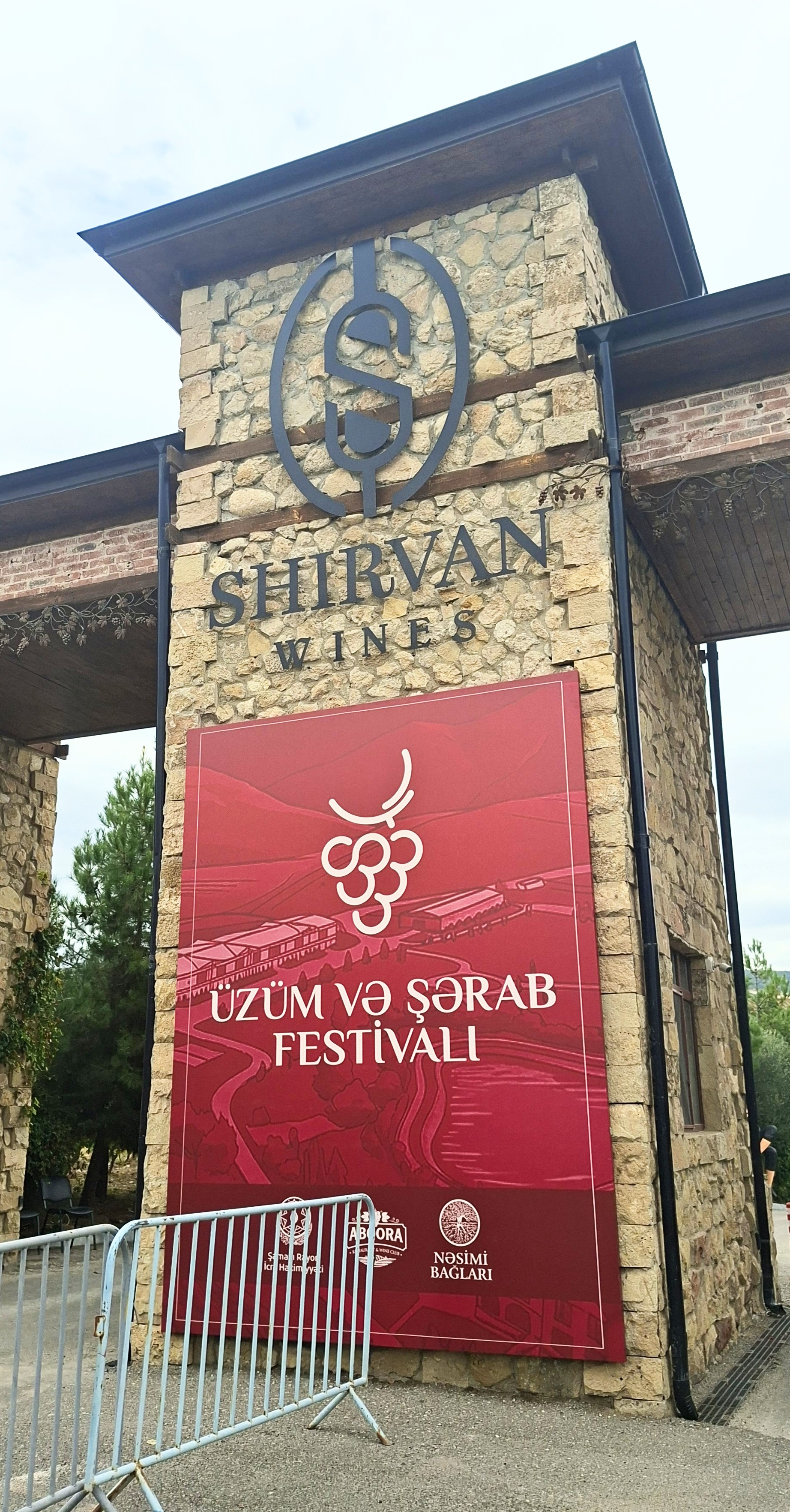 Üzüm və şərab festivalı